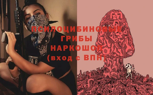 мяу мяу мука Вяземский