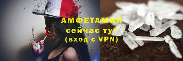 шишки Вязники