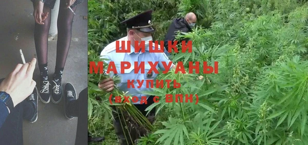 шишки Вязники