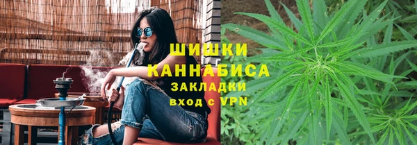 шишки Вязники