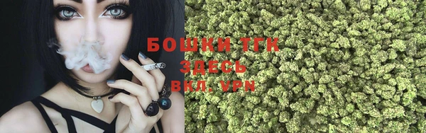 шишки Вязники