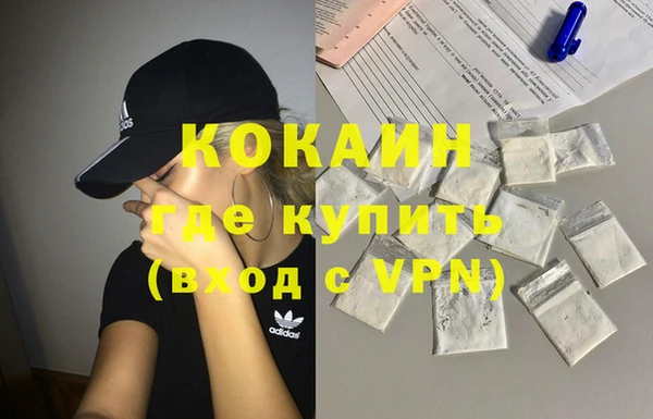 шишки Вязники