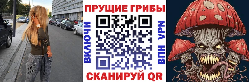 Купить где  Сковородино  Псилоцибиновые грибы Cubensis 