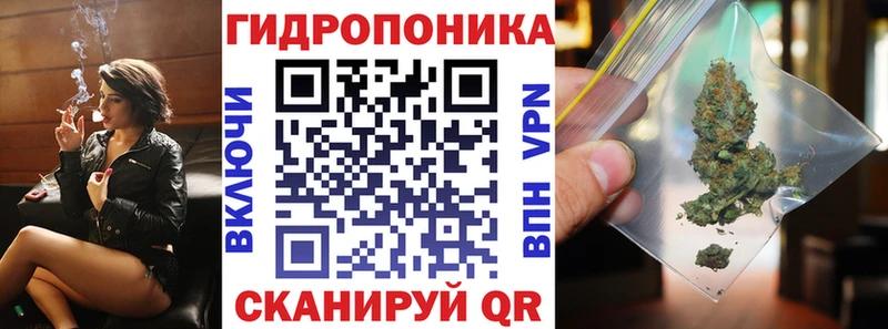 Шишки марихуана Amnesia Купить закладки Сковородино
